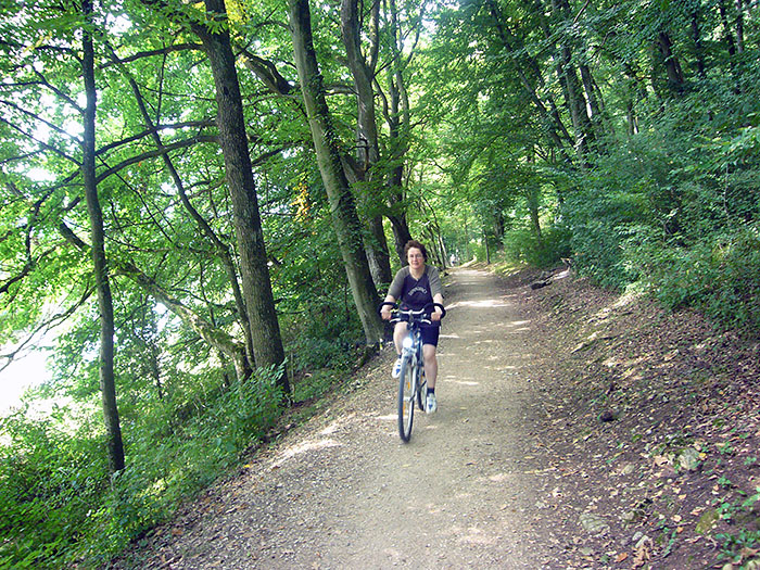 Waldweg an der Altm&uuml;hl