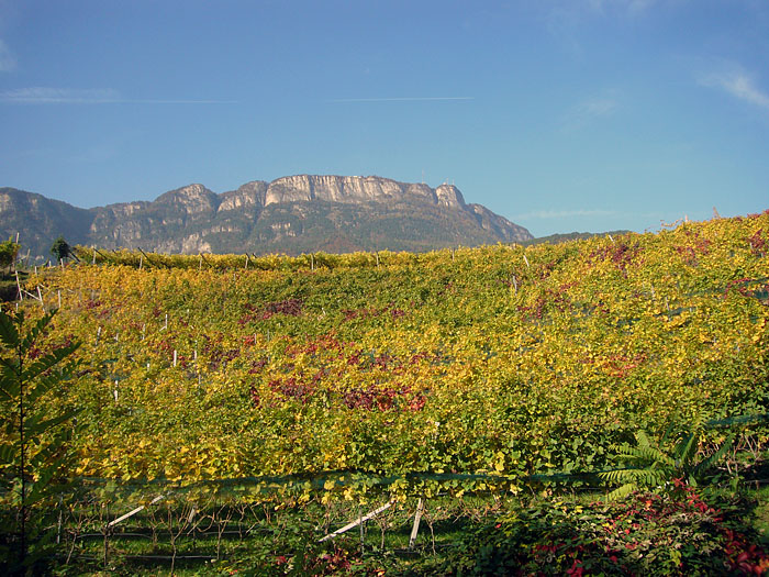 Da oben fahren wir morgen hin