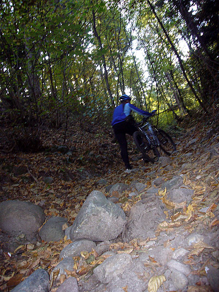 ... fast nahtlos auf Trails weiter