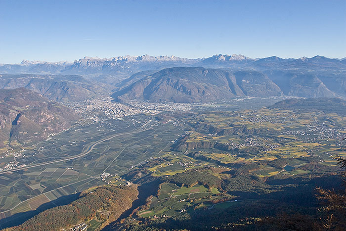 Blick auf den Rosengarten