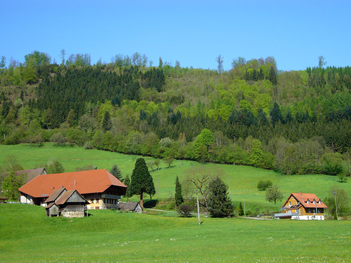 Schöne Schwarzwald-Landschaft