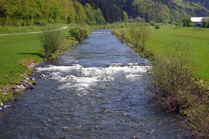 Die Kinzig