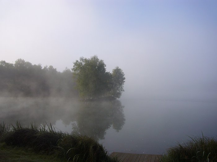 Morgennebel ...