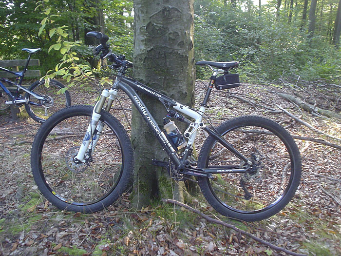 Janines "Steiniger Berg"