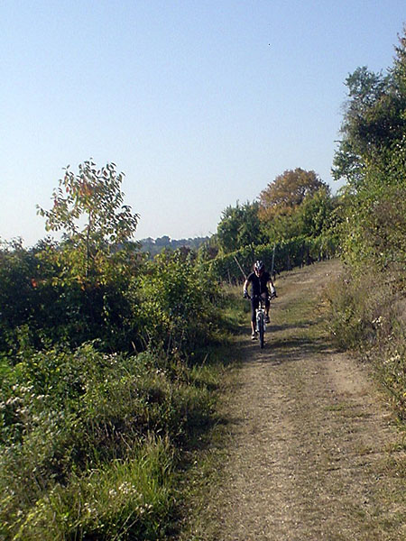 Janine immer noch im Weinberg ;-)