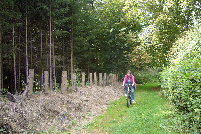Das ist ein ausgeschilderter Radweg