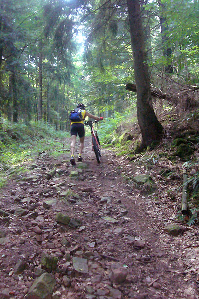 ... zum Gl&uuml;ck nicht nur ich ;-)