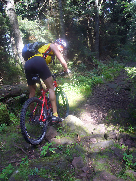 Der eine oder andere Stein stellt sich in den Weg