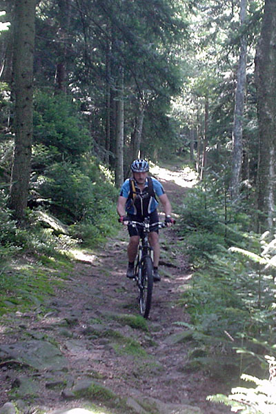 ... aber genau das haben wir gewollt