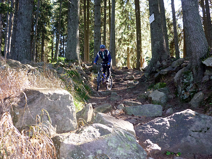 Carlo hoppelt den Weg hinab