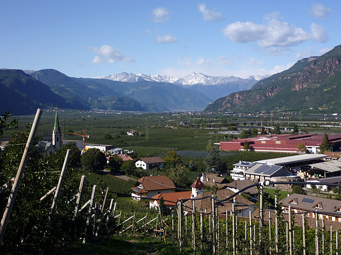 Blick Richtung Meran