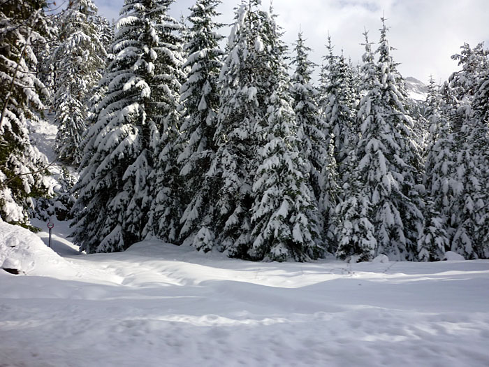 ... kein Wunder war es in letzter Zeit so kalt