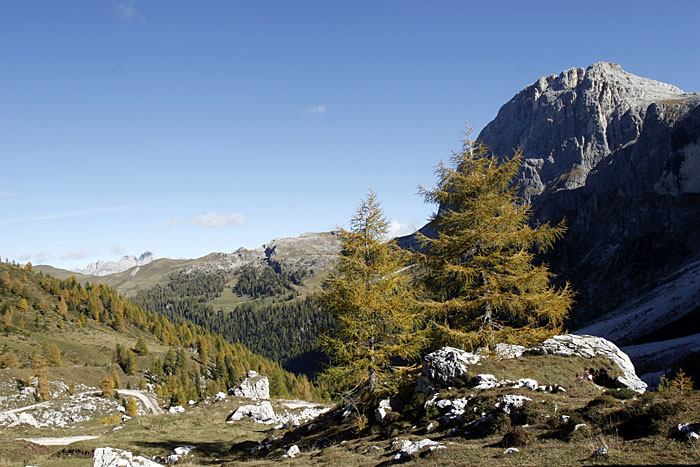 Das Tal des Torrente Travignolo