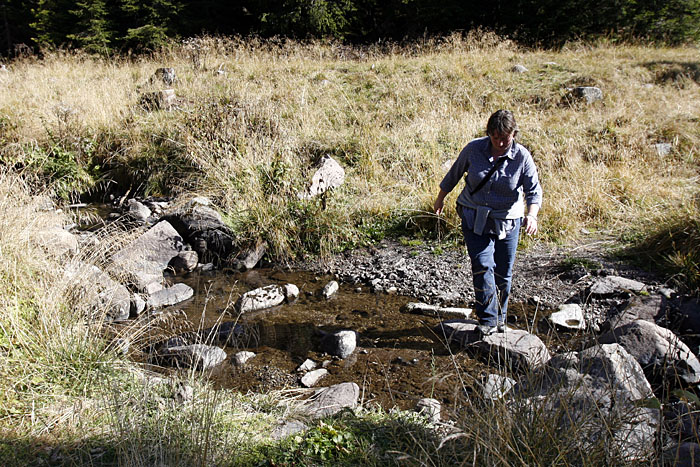 Bach&uuml;berquerung 4