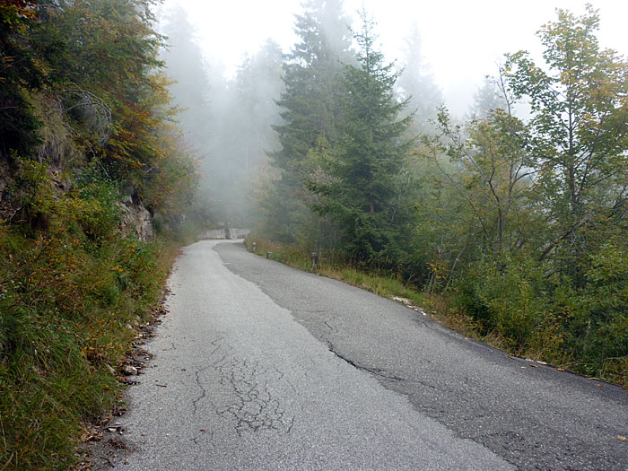 ... ist keine Sau unterwegs ;-)