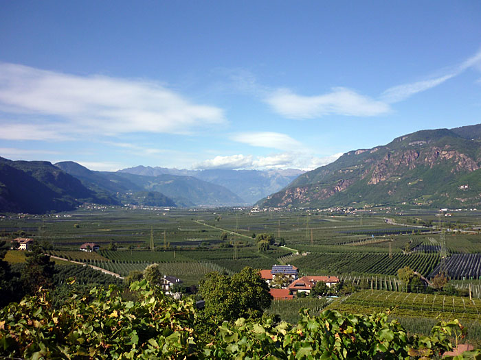 Blick in Richtung Meran