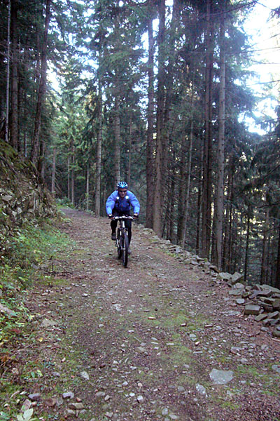 Und ab durch den Wald