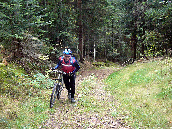 Und noch bergaufer ;-)