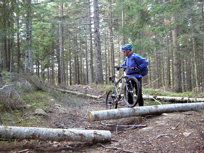 Irgendjemand wirft uns ...