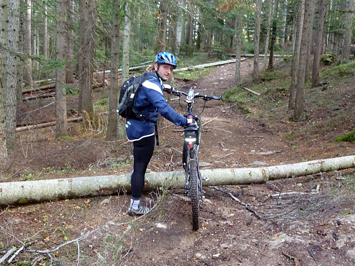 ... immer Kn&uuml;ppel vor die R&auml;der