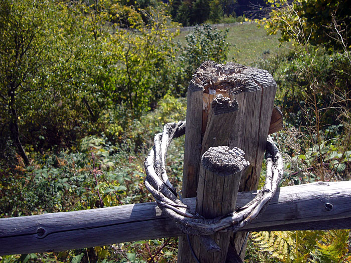 Statt Draht nahm man fr&uuml;her Naturmaterial