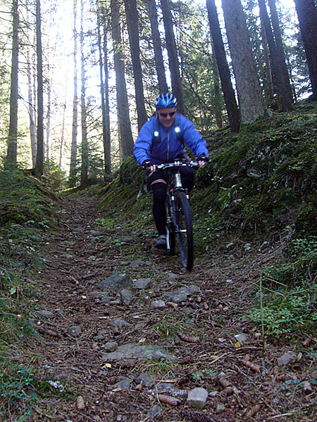 Und wieder ruft das Dickicht