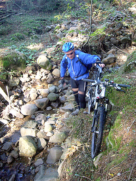 Manchmal m&uuml;ssen wir auch tragen