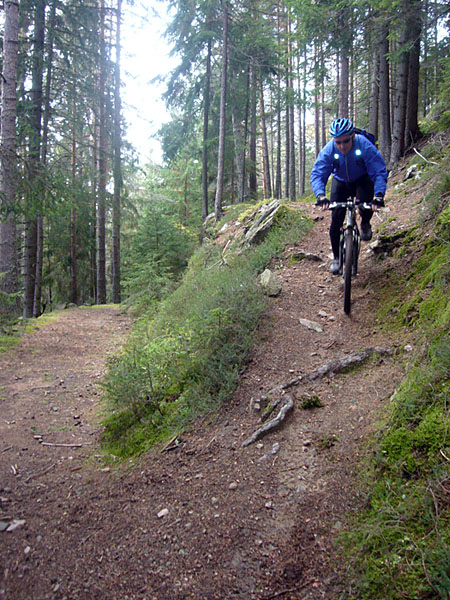 Aber manchmal auch wieder runter