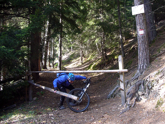 Jeder versucht es ...