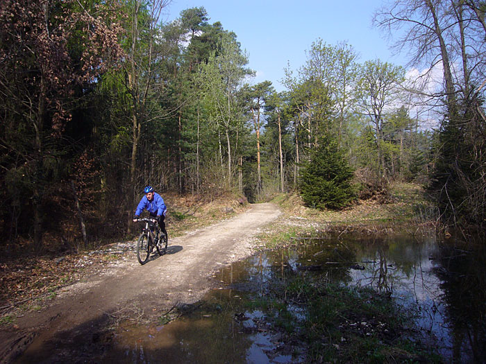 Die Pf&uuml;tze ist noch von der Schneeschmelze &uuml;brig