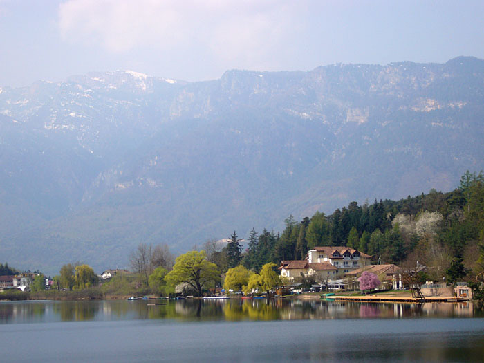 Die B&auml;ume im Tal beginnen zu bl&uuml;hen
