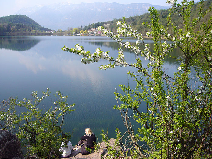 ... auf die M&auml;d...&auml;h Str&auml;ucher ;-)