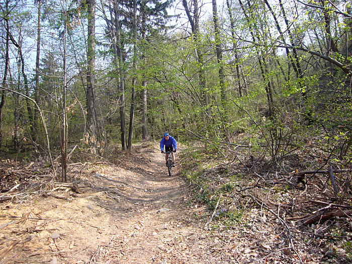 Fahren wir lieber weiter durch den Wald