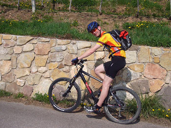 J&ouml;rn auf Rotwild