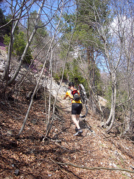 Um den Schnee zu umgehen, k&uuml;rzen wir ab ...