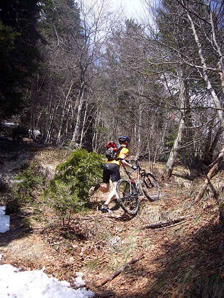 Das "Rotwild" jagd den Wald hinauf ;-)