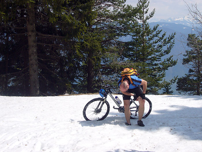 Reini ist gestochen worden :-(