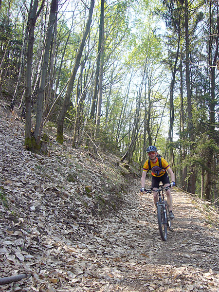 Lieber wieder durch den Wald hetzen