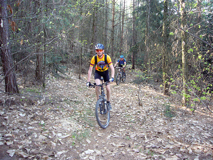 Lautlos durch den Forst