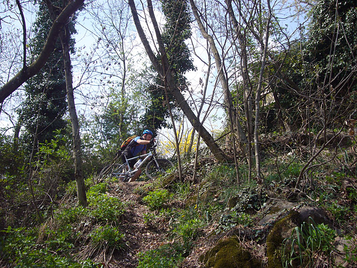 ... und auch mal schieben