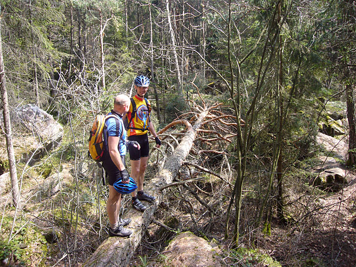 Ob der Baum das Gewicht tr&auml;gt ;-)