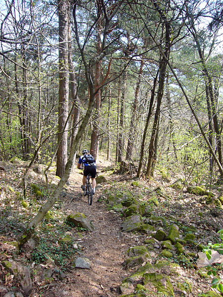 Aufstehen und weiter