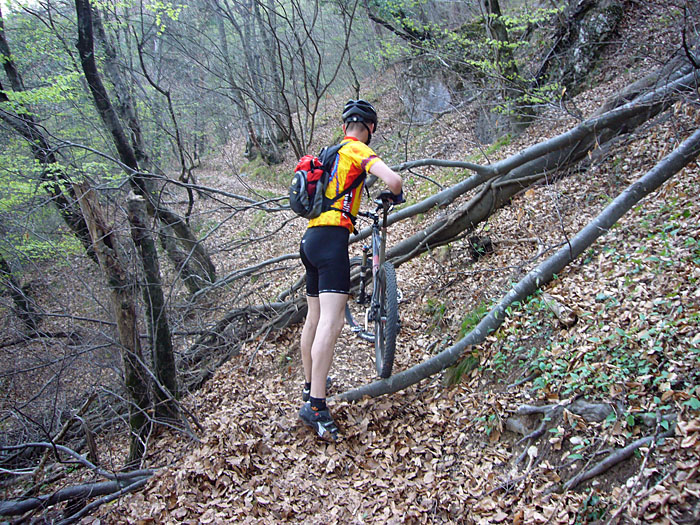 Und schon sind wir wieder unten im Wald