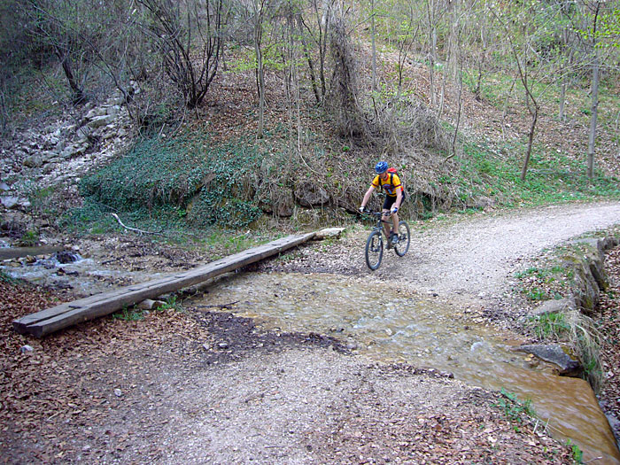Bj&ouml;rn muss auch durch