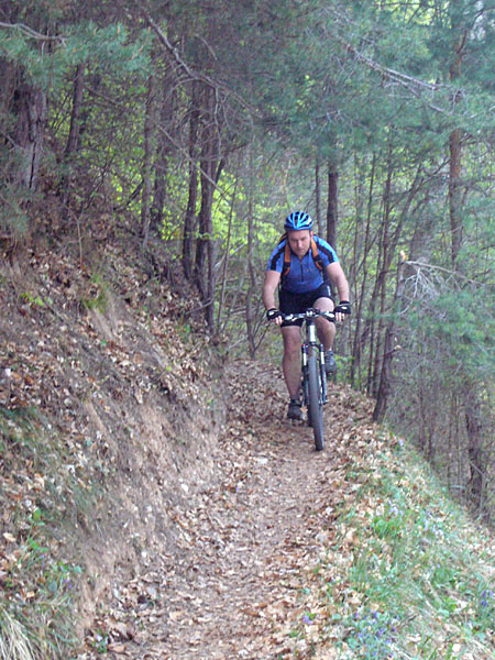 Weiter durch den Wald ...