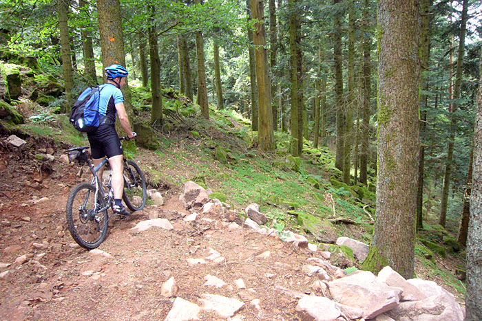 Hier geht es nicht weiter, zumindest f&uuml;r uns nicht ;-)