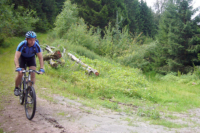 Im Wald ist der Boden etwas feucht