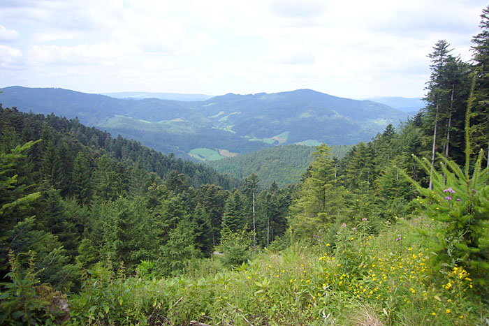 Sch&ouml;ne Aussicht!