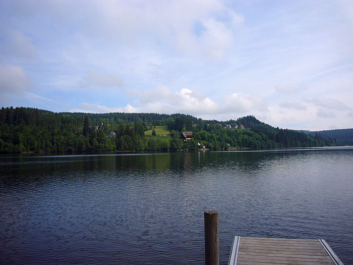 Blick auf den Titisee