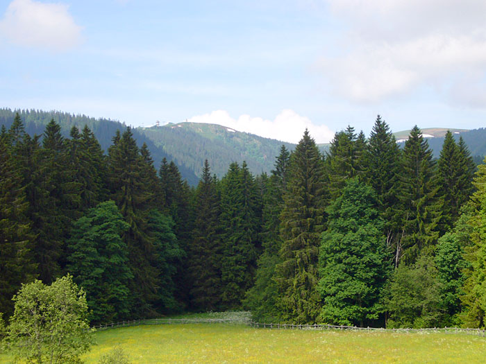 Da oben wollen wir hinauf